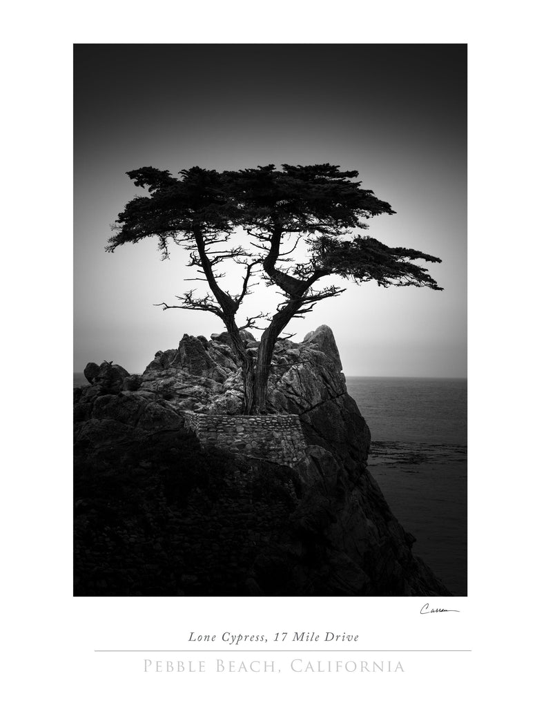 Lone Cypress, 17 Mile Drive - Jack Curran Photography