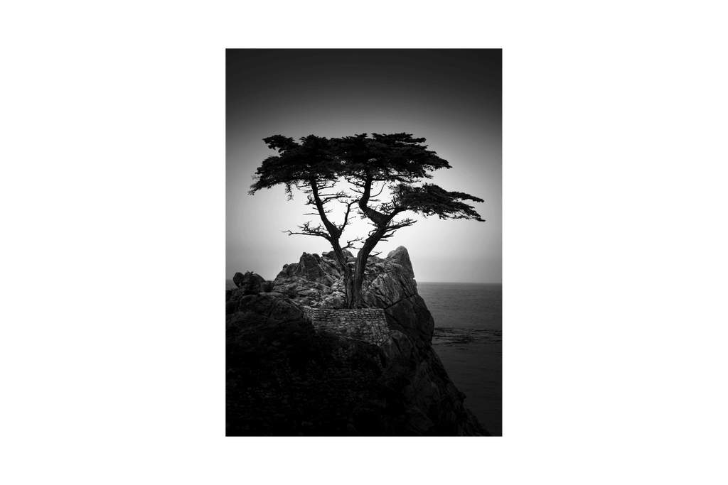 Lone Cypress, 17 Mile Drive - Jack Curran Photography